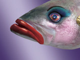 Fish Wearing Makeup