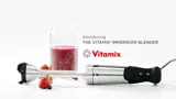 Vitamix Immersion