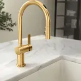 gold CGI faucet