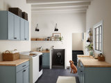 blue kitchen with dog 