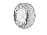 Silver goodyear tire